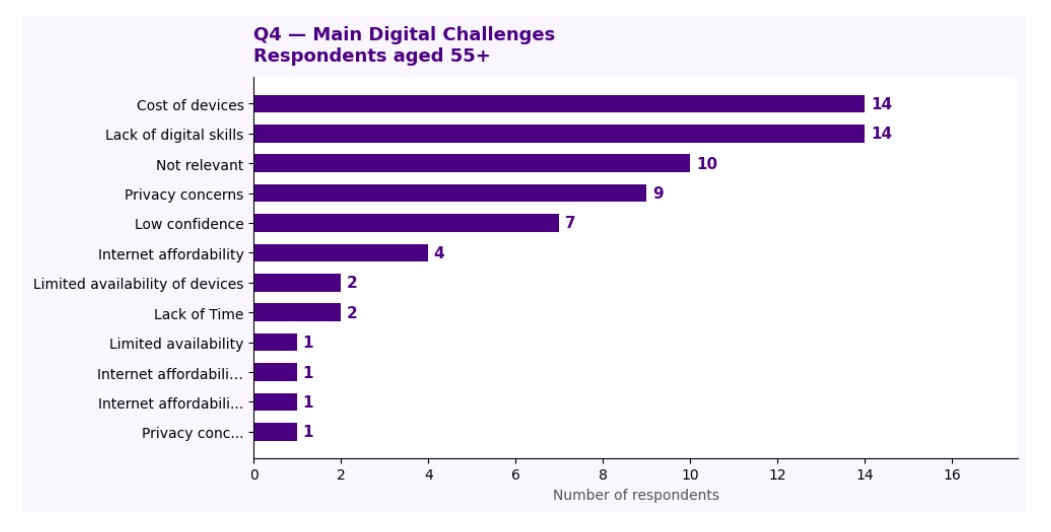 Digital challenges faced by users